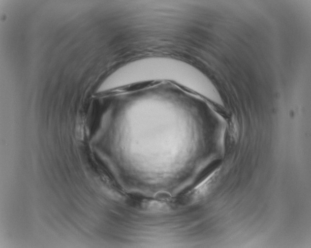 X0000065260180200603131212