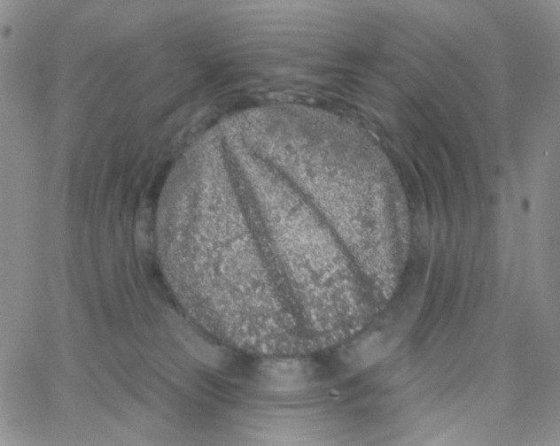 X0000065260181200603131212