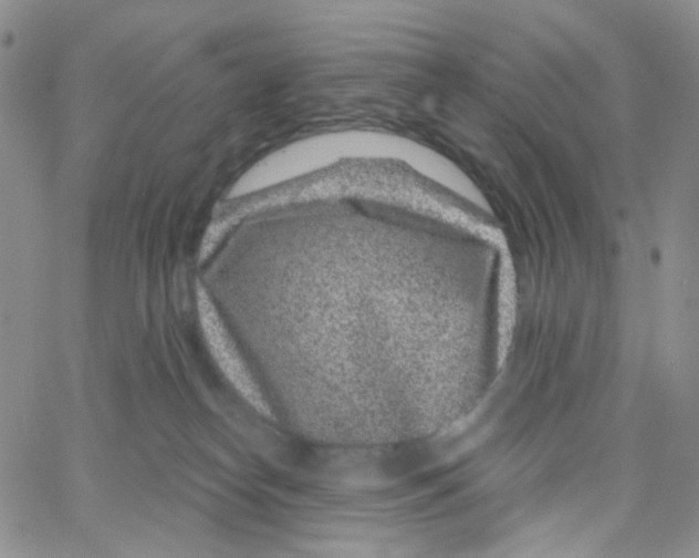 X0000065260182200603131212