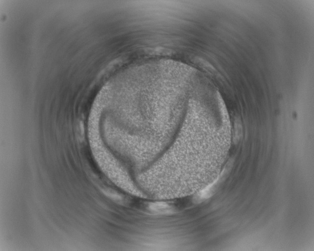 X0000065260183200603131212