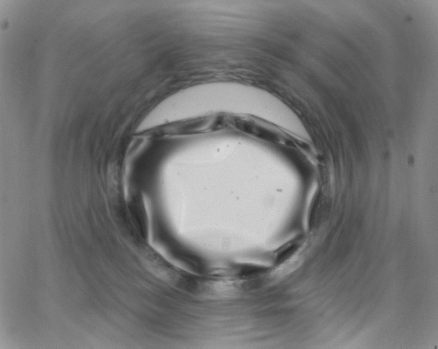 X0000065260184200603131212