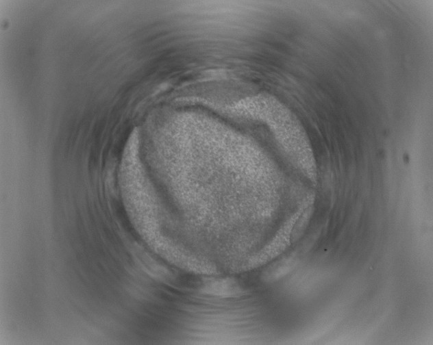 X0000065260185200603131212