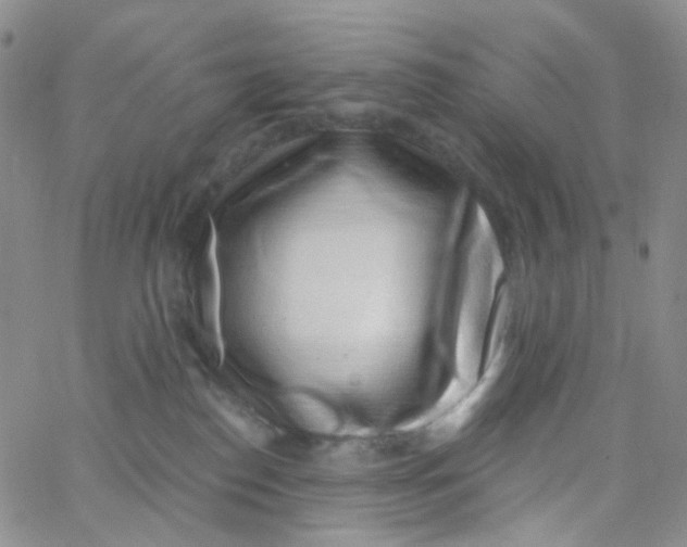 X0000065260186200603131212