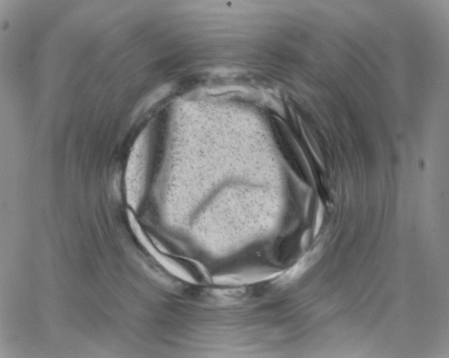 X0000065260188200603131212