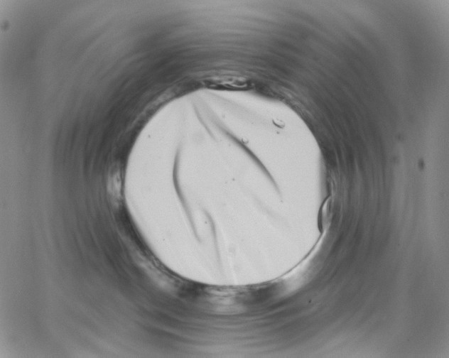 X0000065260190200603131212