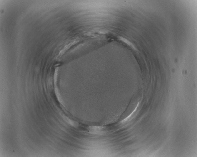 X0000065260192200603131212