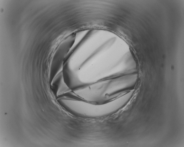 X0000065260193200603131211