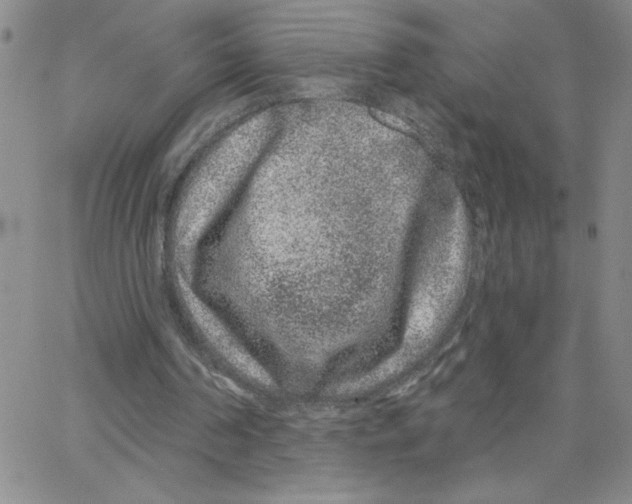 X0000065260194200603131211