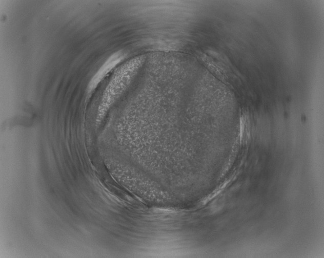 X0000065260195200603131211