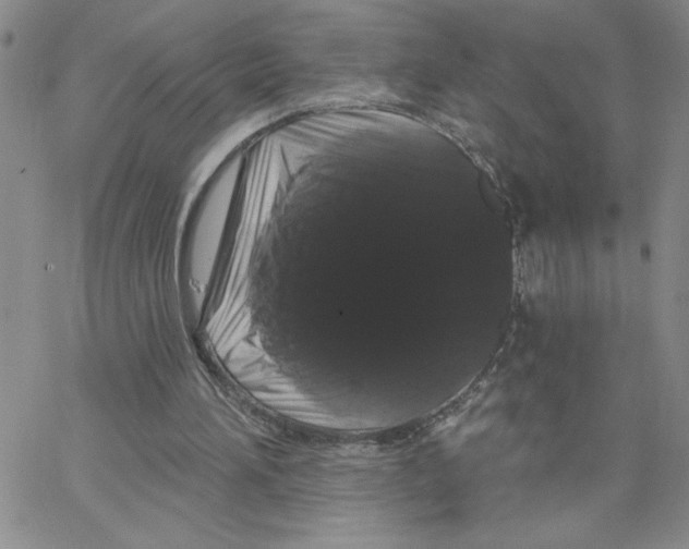 X0000065260196200603131211