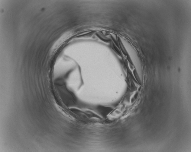 X0000065260197200603131211