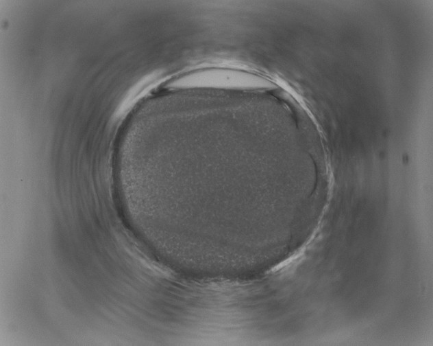 X0000065260199200603131211