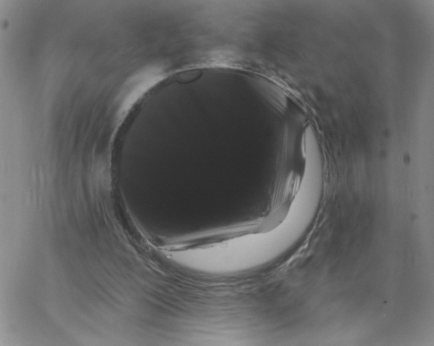 X0000065260200200603131211