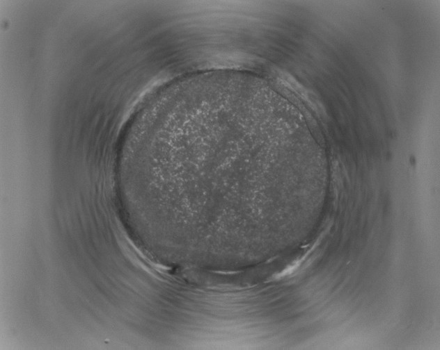 X0000065260203200603131211