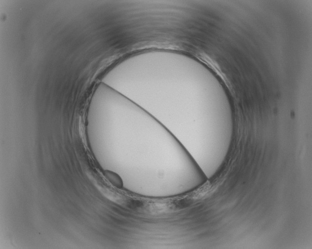 X0000065260205200603131211