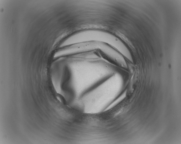 X0000065260207200603131211