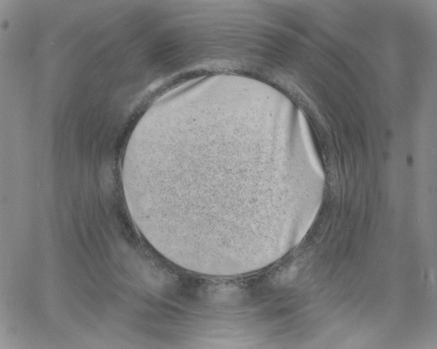 X0000065260208200603131211