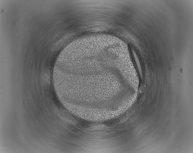 X0000065260210200603131211