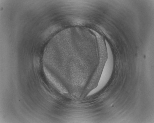 X0000065260211200603131211