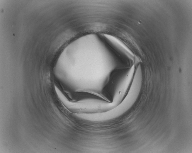 X0000065260212200603131211