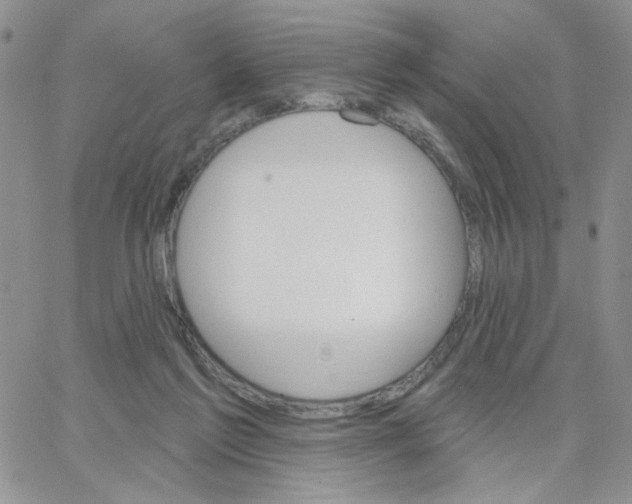 X0000065260213200603131211