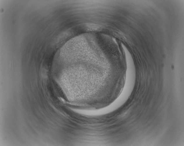 X0000065260215200603131211