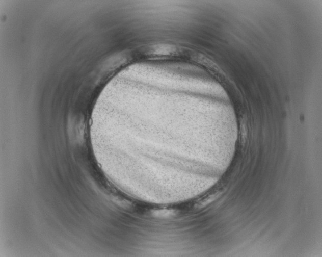 X0000065260216200603131211