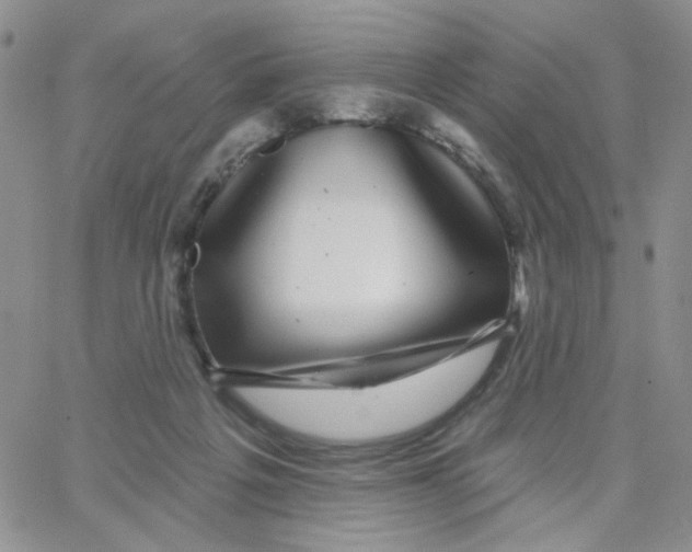 X0000065260217200603131211