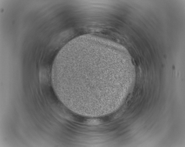 X0000065260218200603131210