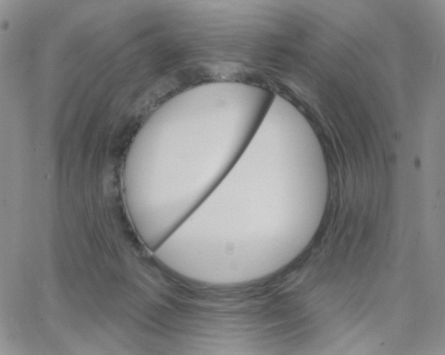 X0000065260221200603131210