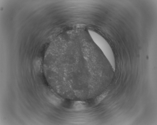 X0000065260222200603131210