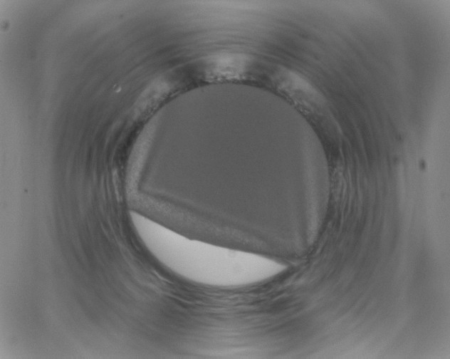 X0000065260224200603131210