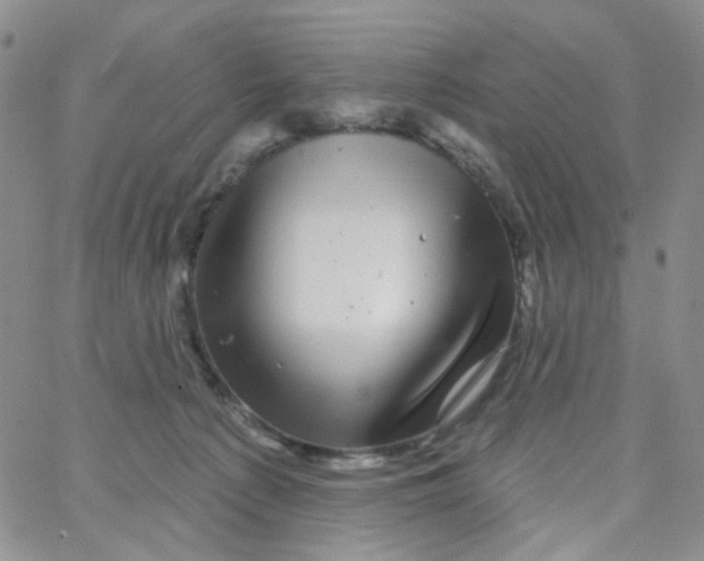 X0000065260225200603131210