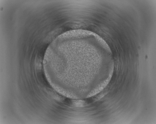 X0000065260226200603131210