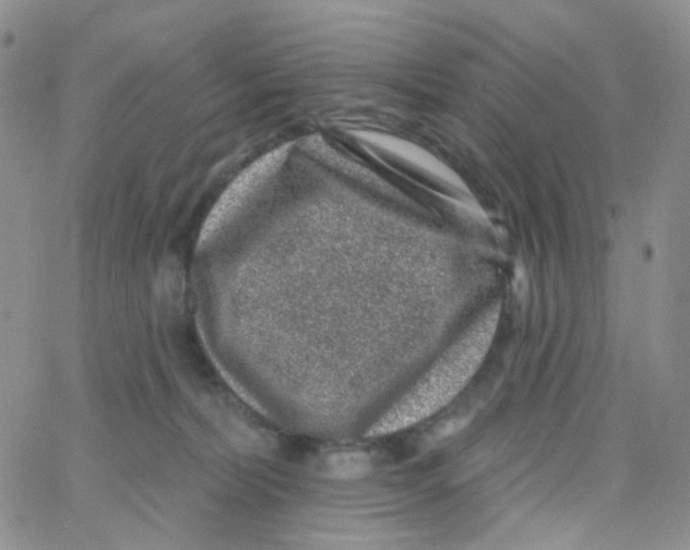 X0000065260228200603131210