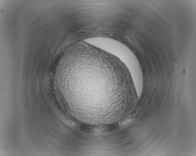 X0000065260229200603131210