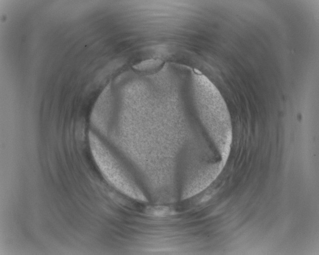 X0000065260230200603131210