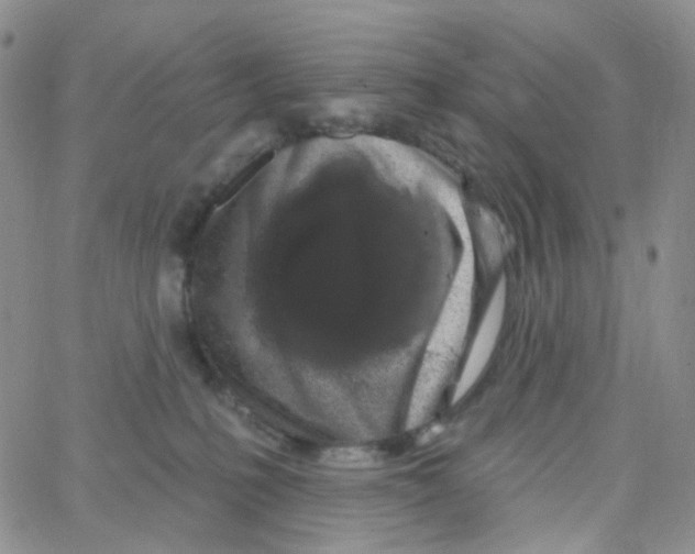 X0000065260231200603131210