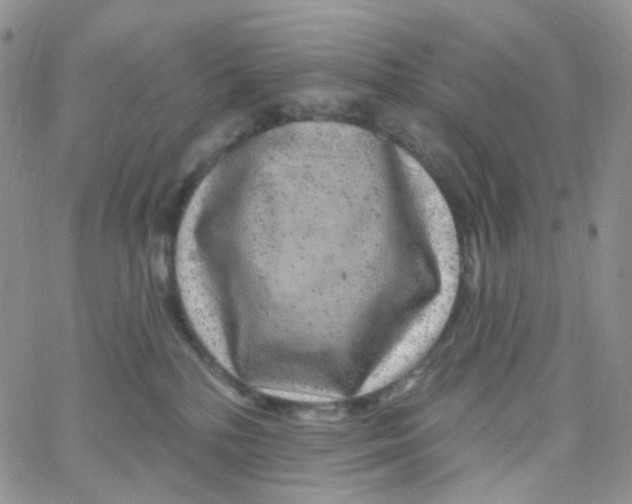 X0000065260232200603131210