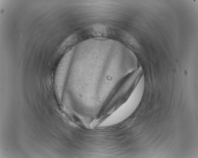 X0000065260233200603131210