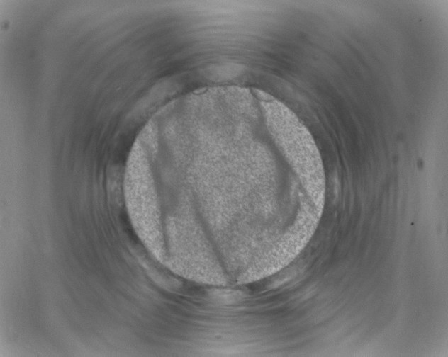 X0000065260234200603131210