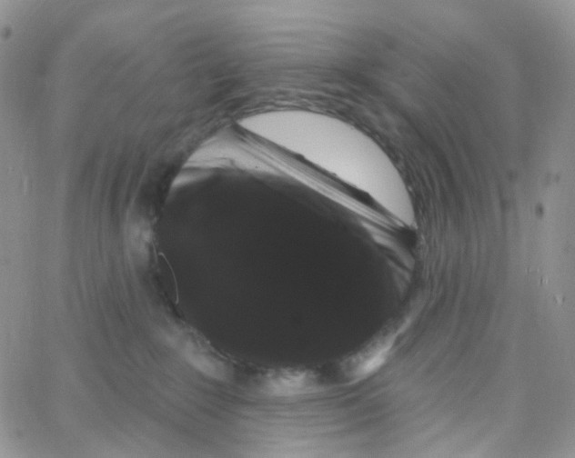 X0000065260235200603131210