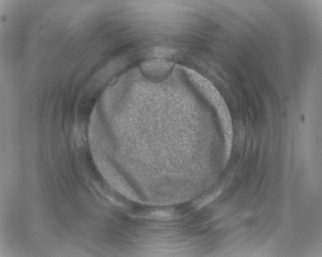 X0000065260236200603131210