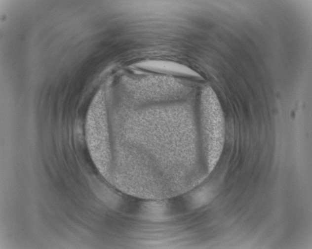 X0000065260238200603131210