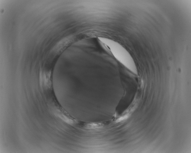 X0000065260239200603131210