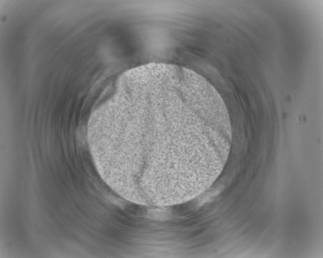 X0000065260240200603131210