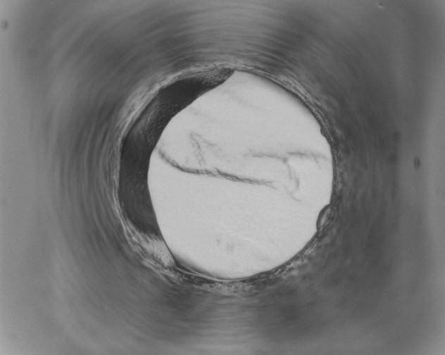 X0000065260241200603131209