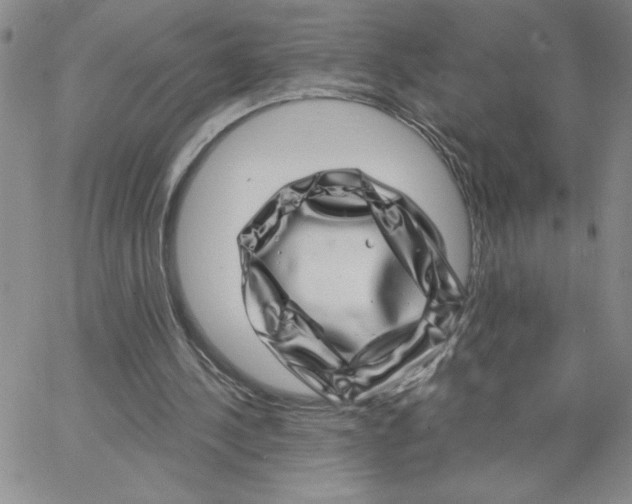 X0000065260244200603131209