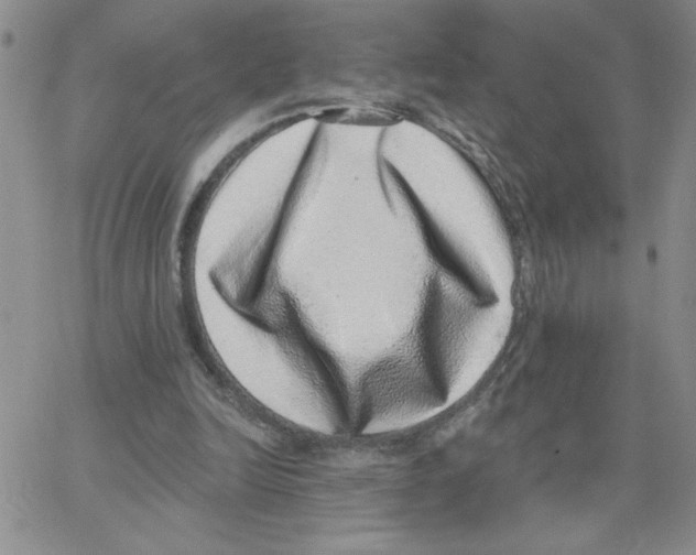 X0000065260246200603131209