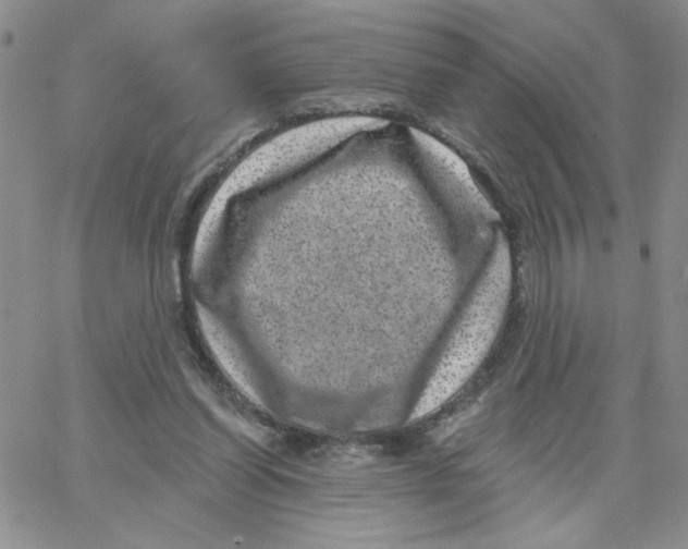 X0000065260254200603131210